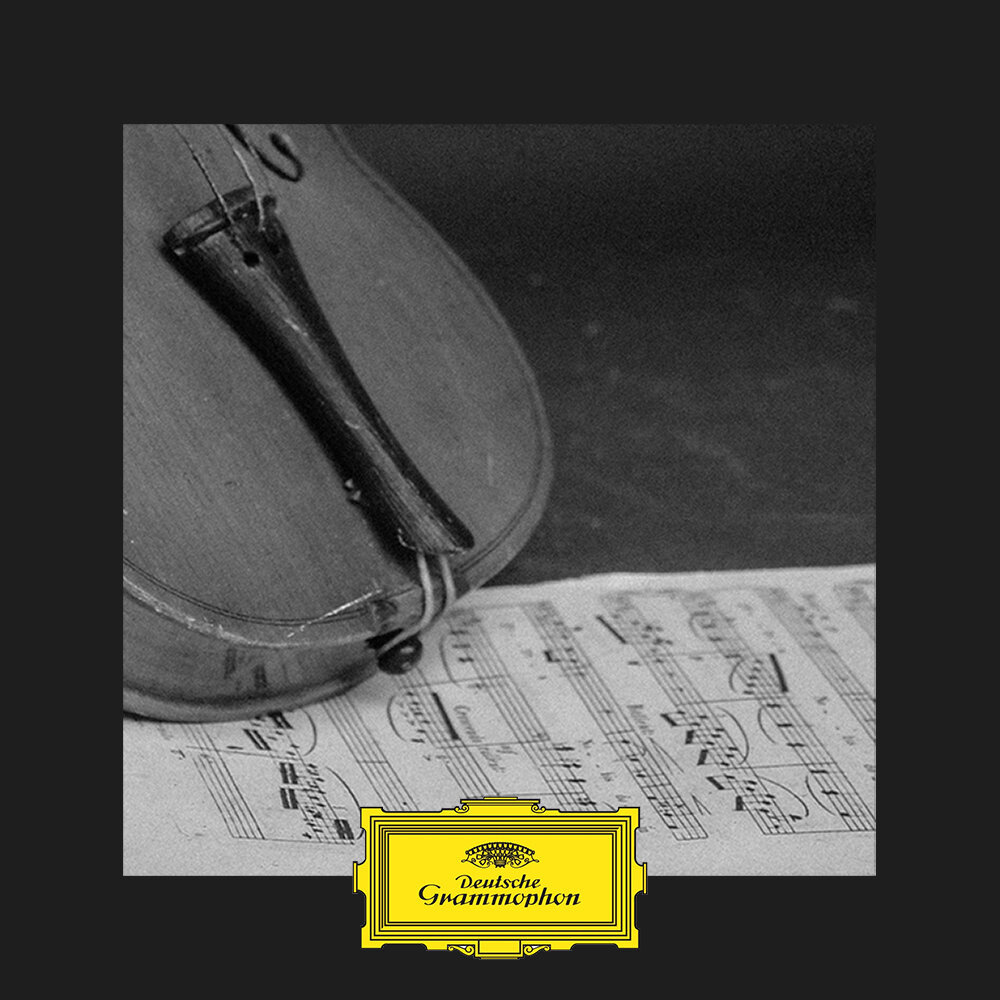 Violin 1/2. красивая девушка со скрипкой. люди играющие на музыкальных инструментах. виолончель (chello hongmijoo ilga salinsagan, 2005). музыкант со скрипкой.